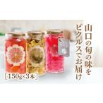 缶詰 瓶詰 野菜類 D598 山口きららピクルス詰め合わせ