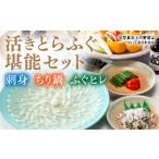 フグ C026 とらふぐの刺身 33cmプラ皿