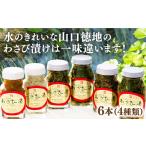 fu.... налог овощи вид дикоросы Yamaguchi префектура Yamaguchi город D083 Yamaguchi добродетель земля. васаби ..4 вид 6 шт. комплект 