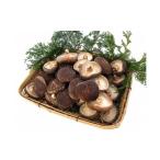 fu.... налог овощи вид .. . Shizuoka префектура река основа блок 11-35 мясо толщина . дерево культивирование сырой ....