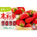 ふるさと納税 いちご 鳥取県 琴浦町 先行予約 章姫(あきひめ)いちご 4P(250g×4) 「末利華(まつりか)」