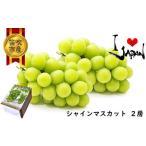 ふるさと納税 ぶどう マスカット 山梨県 笛吹市 25年発送先行予約 厳選高級シャインマスカット1kg以上(2房) 082-011