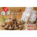 野菜類 きのこ 行田産こだわり椎茸セット