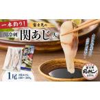 旬の鮮魚等 関冷刺 関あじ 大 魚 あじ アジ 大分