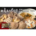野菜類 きのこ 大分産乾しいたけと豊後きのこカレーと豊後…