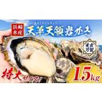 ふるさと納税 牡蠣 生牡蠣 熊本県 苓北町 浜崎水産の天草天領岩かき 約1.5kg 《2026年4月上旬-7月末頃出荷予定》 配送不可地域あり 海鮮 海産物 海の幸 シーフ…