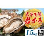 ふるさと納税 熊本県 苓北町 福島水産の天草天領岩かき 約1.5kg | 海鮮 海産物 海の幸 シーフード 魚貝類 かき 牡蠣 岩かき 岩牡蠣 夏牡蠣 生食用 生もの 濃厚…