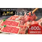 牛肉 山形牛切落とし 400g×2P