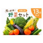 セット 詰合せ 旬の新鮮 野菜セット 13種以上