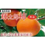 輝太郎柿 3キロ