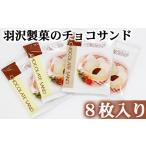 菓子 煎餅 チョコサンド 8枚入