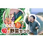 セット 詰合せ 金賞受賞 有機栽培 旬彩野菜セット