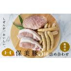 豚肉 ロース 保美豚プレミアム 真空冷凍肉無添加