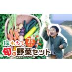 セット 詰合せ 金賞受賞 有機栽培 旬彩野菜セット