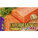ふるさと納税 北海道 白糠町 大人気 2024年8月末までにお届け エンペラーサーモン 900g 小分け可能 鮭 サーモン アトランティックサーモン 水産省長官賞 受賞 …