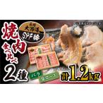 豚肉 焼肉 バーベキュー 豚 大西海 SPF豚