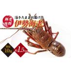 fu.... налог креветка лангуст Nagasaki префектура запад море город натуральный Исэ город море . ширина . класс. teka. мыс дверь производство. натуральный Исэ город море .1~2 хвост ( итого примерно 1.5kg) CAW002 запад море большой мыс .. мыс дверь главный место Nagasaki...