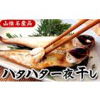 魚貝類 山陰の大型ハタハタ一夜干し 10匹入り