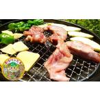 ふるさと納税 肉 長野県 豊丘村 B-7 珍肉キワモノセット 兎・山羊・熊