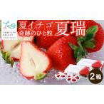 ふるさと納税 いちご 北海道 東神楽町 2025年発送 夏イチゴ 奇跡のひと粒「夏瑞」4パックセット