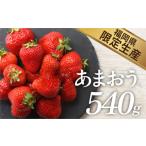 ふるさと納税 いちご 福岡県 新宮町 人気１位獲得謝礼品 限定品 あまおう約５４０g（先行受付／２０２７年２月以降発送）.ZH205 あまおう