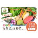 セット 詰合せ 自然耕房あおき 年4回定期便