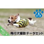 体験チケット Aコース 飛行犬撮影データセット