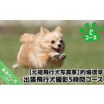 体験チケット Cコース 元祖飛行犬写真家
