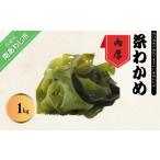 のり 海藻 わかめ 肉厚 鳴門糸わかめ1kg