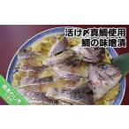 活け〆真鯛使用 鯛の味噌漬