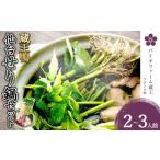 ふるさと納税 鍋セット 宮城県 蔵王町 先行予約 蔵王鴨 仙台せり鍋セット2〜3人前(2025年10月発送開始予定) 04301-0121 鍋 せり鍋 鍋セット せり 鴨 簡単…
