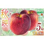 りんご サンふじ 5kg