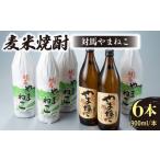 焼酎 米 麦米焼酎 対馬やまねこ 900ml