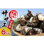 fu.... налог Sazae Nagasaki префектура на лошадь город надеты день указание необходимо на лошадь производство . Sazae 6kg{ на лошадь город } гарантия дом коммерческое предприятие на лошадь обычная температура рассылка .... морепродукты Sazae . пятна ...........