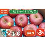 りんご 訳あり 先行受付 サンふじ 約3kg