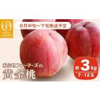 ふるさと納税 もも 長野県 小布施町 黄金桃 約3kg 7〜12玉 ［おぶせファーマーズ］桃 もも モモ フルーツ 果物 クール便 冷蔵便 長野県産 信州産 令和8年産 20…