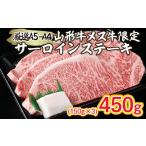 牛肉 サーロイン A5-A4 山形牛 メス牛