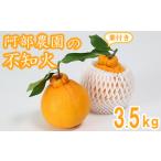 ふるさと納税 みかん・柑橘類 デコポン 大分県 杵築市 阿部農園の「ハウス葉付き不知火 約3.5kg」 ／ ミカン みかん 蜜柑 柑橘類 不知火 数量限定 フルーツ 11…