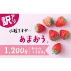 ふるさと納税 いちご 福岡県 新宮町 訳あり.限定品 あまおう.小粒ですが約1200g(先行受付.2026年1月以降発送).AB380