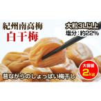 加工品等 梅干 昔ながらのしょっぱい梅干し