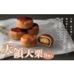 和菓子 天領大栗 9個入り