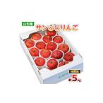 ふるさと納税 りんご 山形県 山形市 山形のサンふじりんご 特秀品 約5kg(10〜25玉) FZ19-137