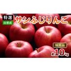 ふるさと納税 りんご 山形県 山形市 特選 山形のサンふじりんご 約10kg 特秀品(20〜50玉) FZ19-141