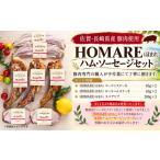 O-122 N45B HOMARE ほまれ