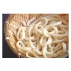 うどん 生 半生めん 手打ち生うどん5食セット