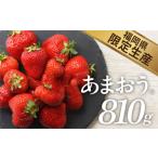 ふるさと納税 いちご 福岡県 新宮町 人気No.1獲得謝礼品 限定品 あまおう約810g(先行受付.2026年1月以降発送).AB379