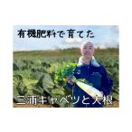 有機肥料で育てたキャベツと大根セット