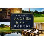 宿泊券 温泉 あんなか宿泊&ゴルフ共通利用券A