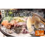 鍋セット すっぽん鍋セット3人前 丸隆すっぽん養殖場