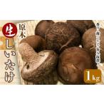 fu.... налог овощи вид .. . Gunma префектура внизу . рисовое поле блок прошлое ...... дерево сырой ...... шиитаке . толщина аромат .. вдоволь суп ... one разряд сверху F21K-012